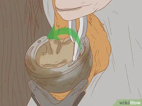 Image titled Manage a Laminitis Prone Horse Step 9