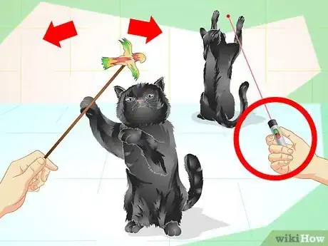 Image titled Care for an Overweight Cat Step 10