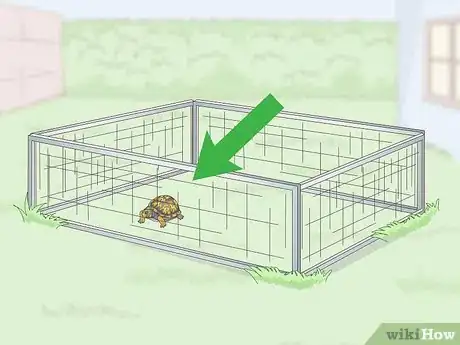 Image titled Care for an Eastern Box Turtle Step 4