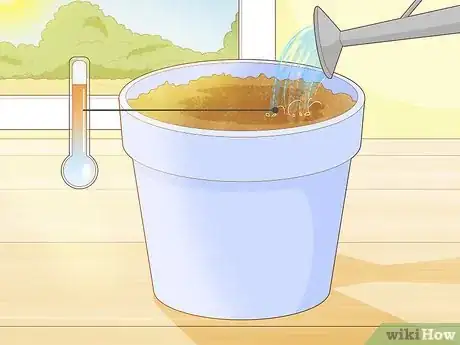 Image titled Grow Giant Vegetables Step 4