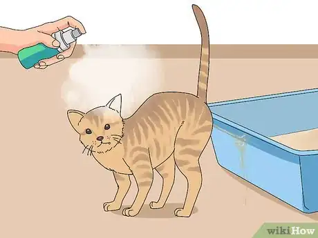 Image titled Treat Cat Behavioral Problems Using Pheromones Step 1