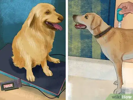 Image titled Buy Dog Training Collars Step 3