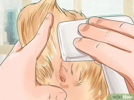 Image titled Brush a Long Haired Dog Step 7