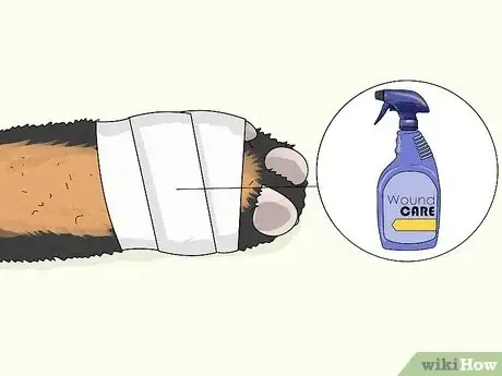 Image titled Wash a Dog's Paws Step 8