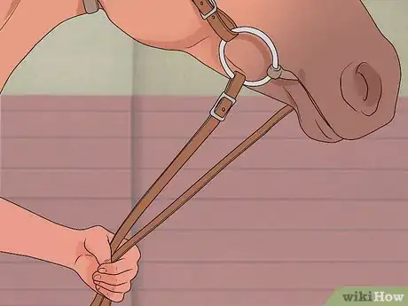 Image titled Stop a Horse Rearing Step 9