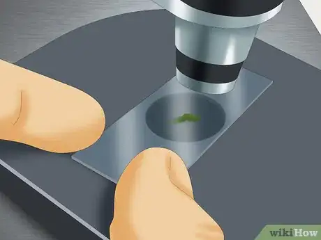 Image titled Use a Microscope to Observe Microorganisms Step 1