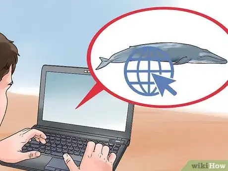 Image titled Help Stop Whaling Step 3