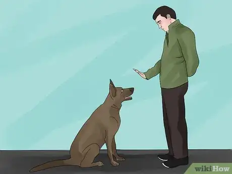 Image titled Avoid Losing Your Dog Step 9