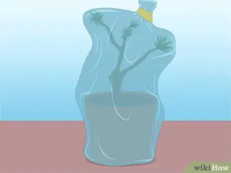 Image titled Propagate Azaleas Step 21