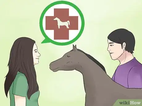 Image titled Choose a Vet for Your Horse Step 2