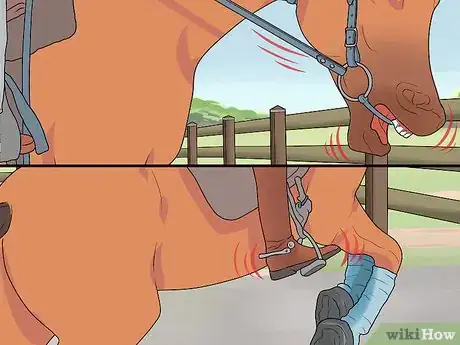 Image titled Stop a Horse Rearing Step 2