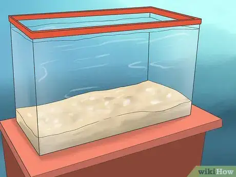 Image titled Remove Turbidity Step 8