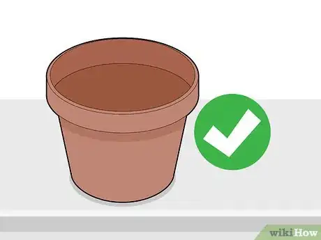 Image titled Grow Chocolate Indoors Step 6