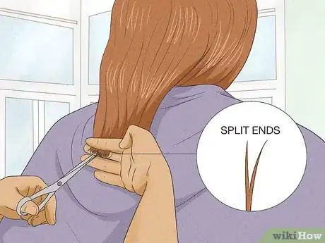 Image titled Hair Care Myths Step 3