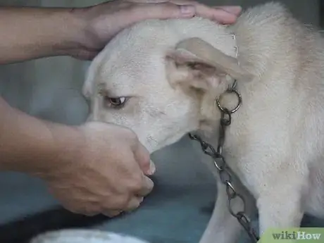 Image titled Eat Something You Hate Step 17