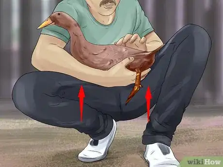 Image titled Train Ducks Step 8