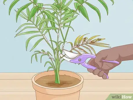 Image titled Control Scale Insects on Indoor Plants Step 4