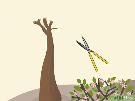 Image titled Prune Desert Rose Step 04