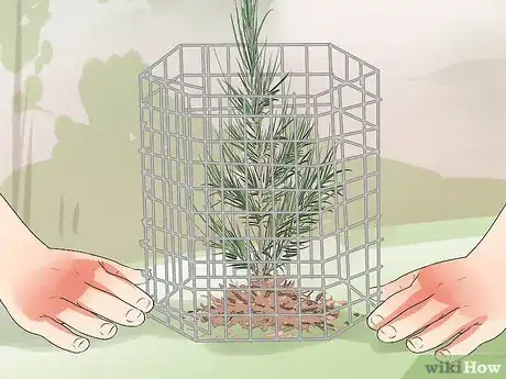 Image titled Plant Cedar Trees Step 19