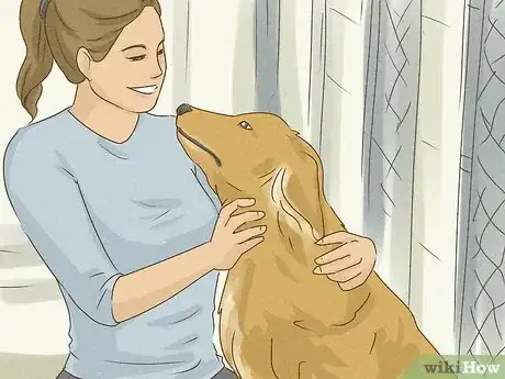 Image titled Help Animal Shelters During the Coronavirus Outbreak Step 6