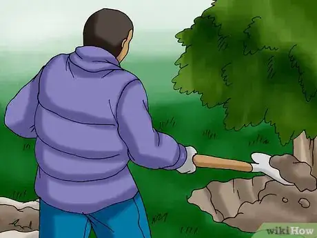 Image titled Plant a Living Christmas Tree Step 12