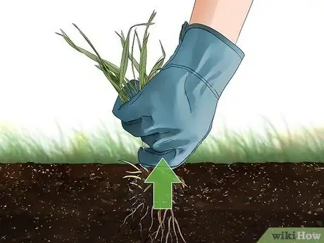 Image titled Get Rid of Crabgrass Step 6