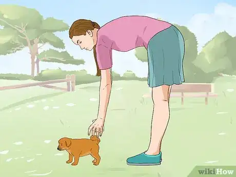 Image titled Socialize Orphaned Newborn Puppies Step 9