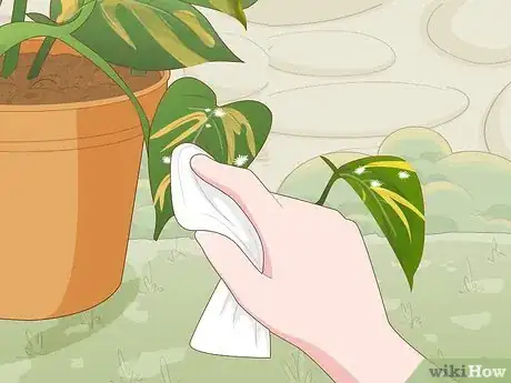 Image titled Care for a Golden Pothos Step 7