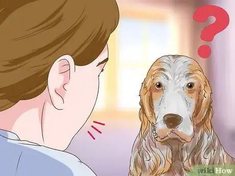 Image titled Evaluate a Dog's Temperament Before Choosing Step 10