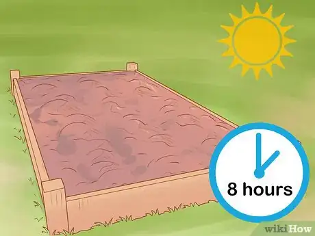 Image titled Grow Roma Tomatoes Step 3