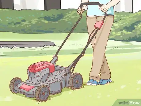 Image titled Treat a Dog for Snakebite in Australia Step 8