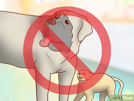 Image titled Evaluate Your Reasons for Wanting a Dog Step 5