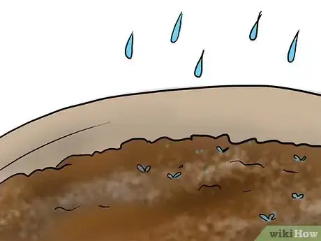 Image titled Plant Plumeria Seeds Step 2Bullet2