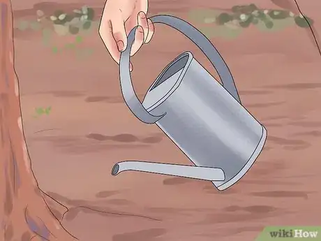 Image titled Care for a Weeping Cherry Tree Step 1