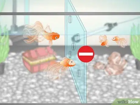 Image titled Care for Fancy Goldfish Step 11