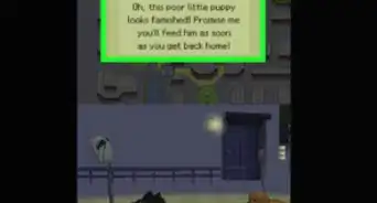 Walk Your Nintendogs