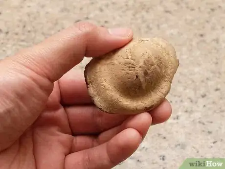 Image titled Clean Shiitake Mushrooms Step 8