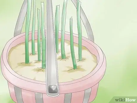 Image titled Deadhead Petunias Step 11