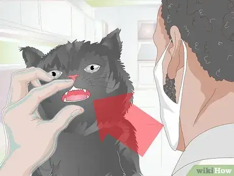 Image titled Stop Teeth Grinding in Cats Step 1