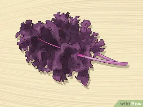 Image titled Shop for Kale Step 8
