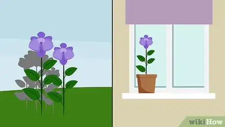 Image titled Grow Violets Step 12