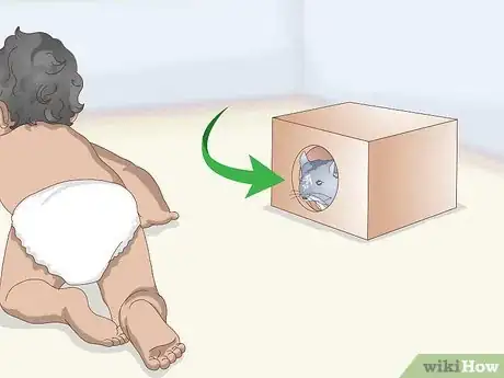 Image titled Keep Chinchillas Safe Around Children Step 2