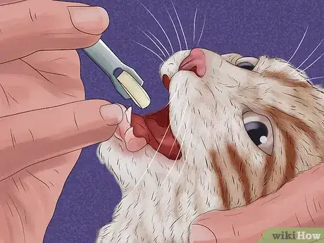 Image titled Give Tricyclic Antidepressants to a Cat Step 7