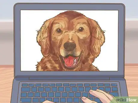 Image titled Evaluate a Dog's Temperament Before Choosing Step 14