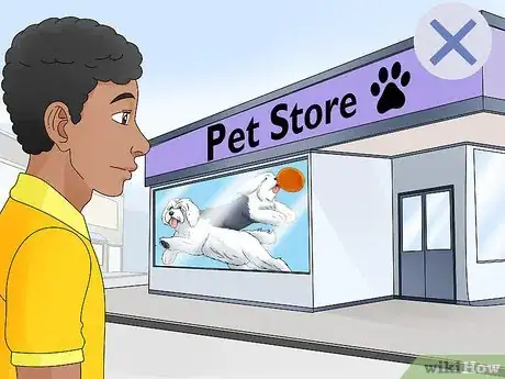 Image titled Avoid Puppy Scams Step 12