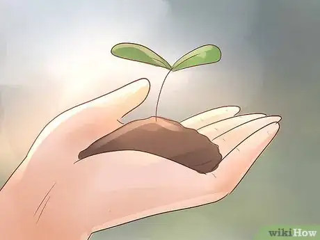 Image titled Become a Botanist Step 6