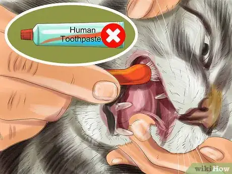 Image titled Take Care of a Li Hua Cat Step 6