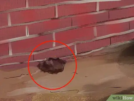Image titled Deal with Rats Step 10