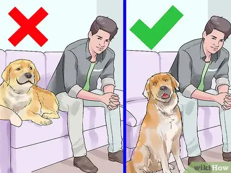 Image titled Set Consistent Limits for a New Dog Step 2