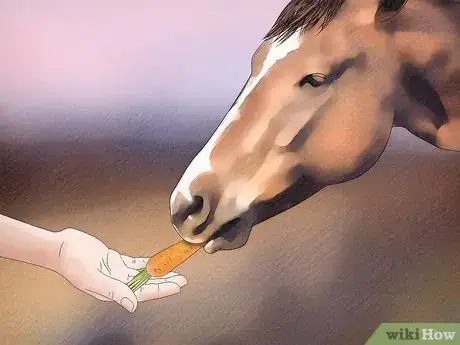Image titled Remove a Tick from a Horse Step 16